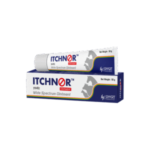 ITCHNOR OINTMENT 50GM